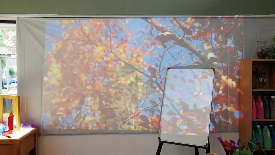 Autumn leaves projected on a wall beside an easel.