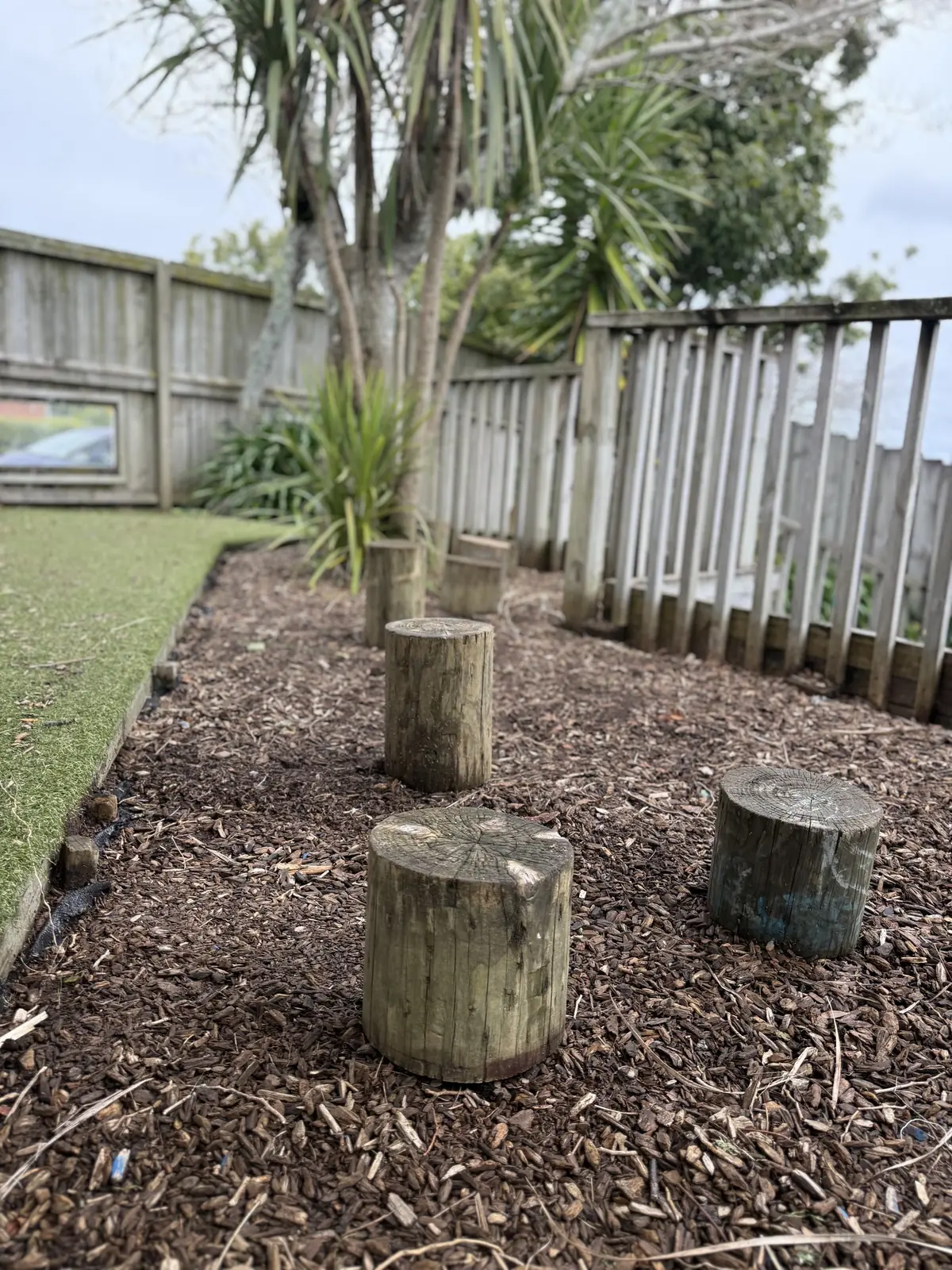Tree stumps in a bark garden under a cabbage tree, beside the turf and a timber fence.